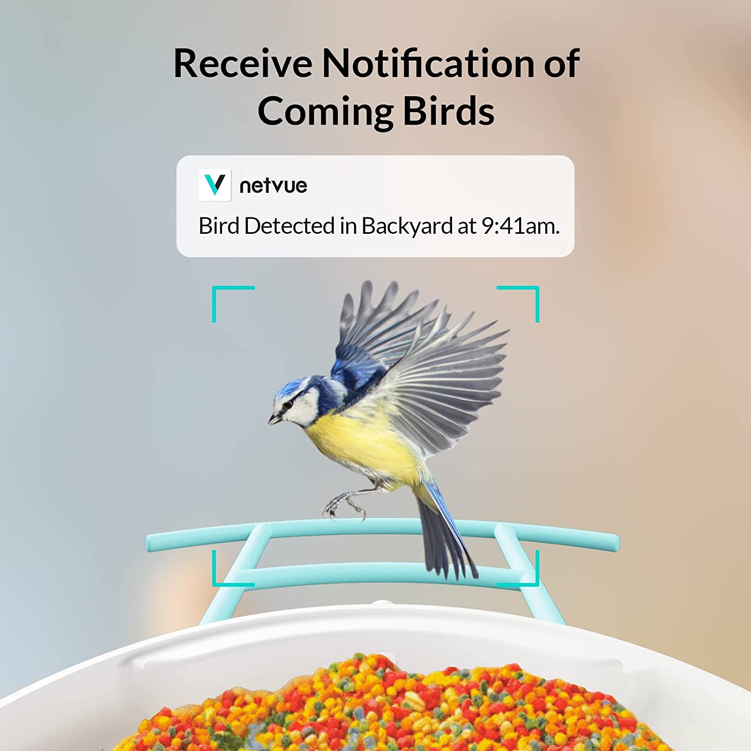 Bird Feeder with Camera, Netvue Birdfy Smart Bird Feeder with Free AI for  Bird Watching, Gifts for Parents, Blue (AI with Solar)
