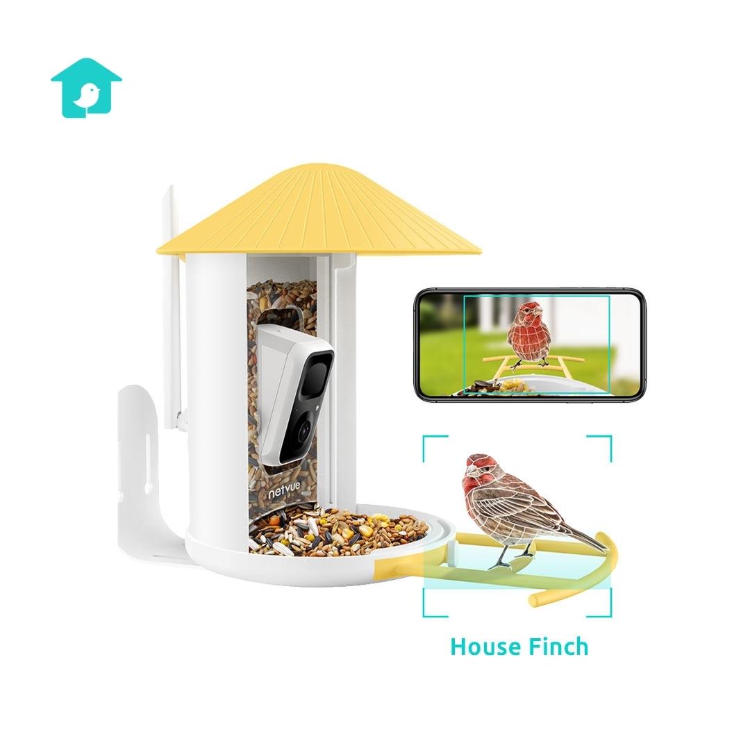 Mangeoire intelligente améliorée Netvue Birdfy avec caméra solaire