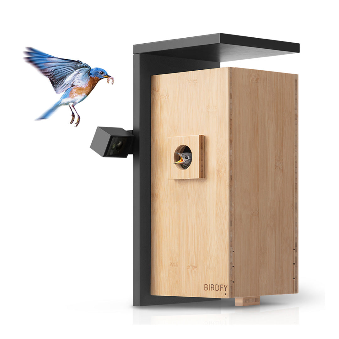 Birdfy Nest - Dual Camera Smart Bird House – netvue