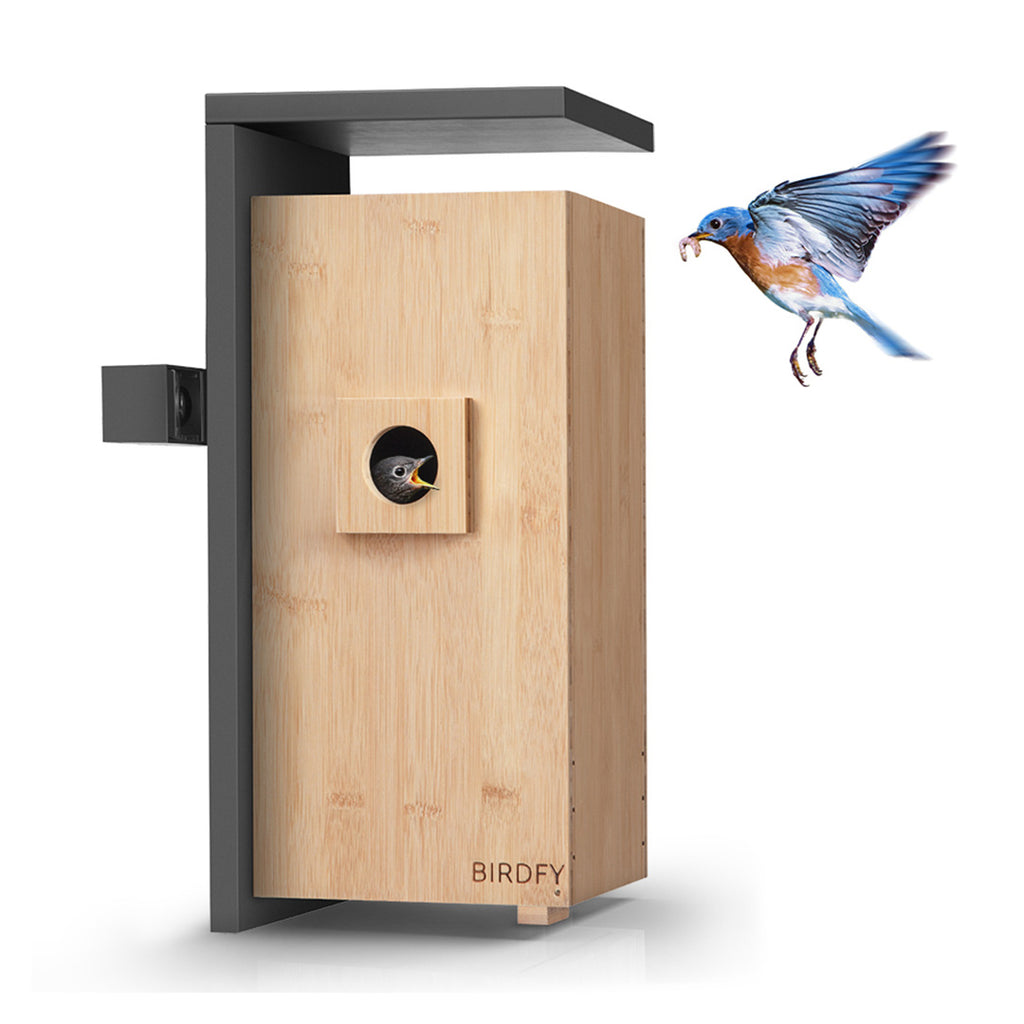 [Pre-order] Birdfy Nest - Dual Camera Smart Bird House – netvue