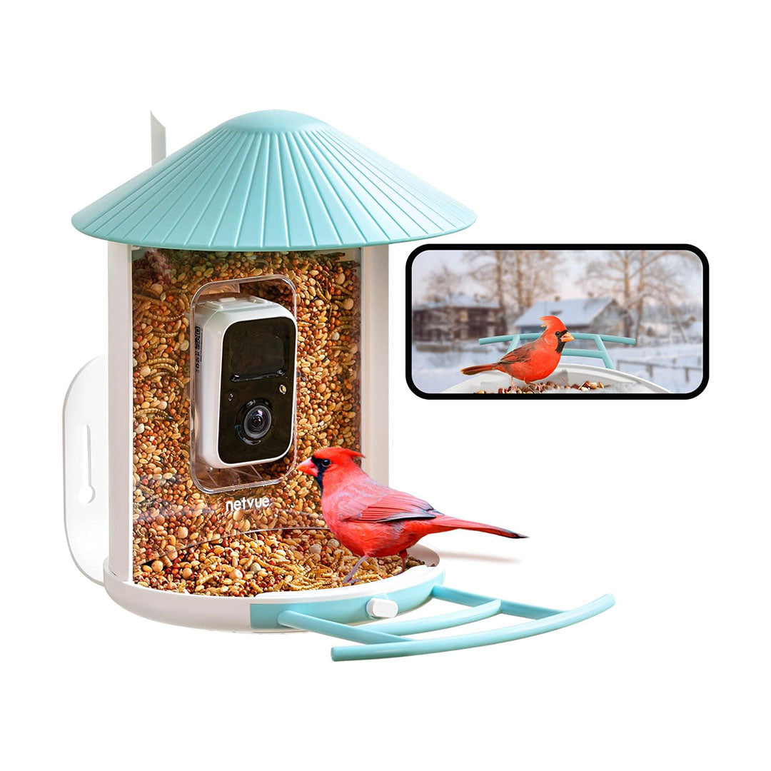NETVUE Birdfy Lite - Smart Bird Watching Feeder with Auto Capture Videos &  Motion Detection, Wireless Camera Ideal Gift for Bird Lovers