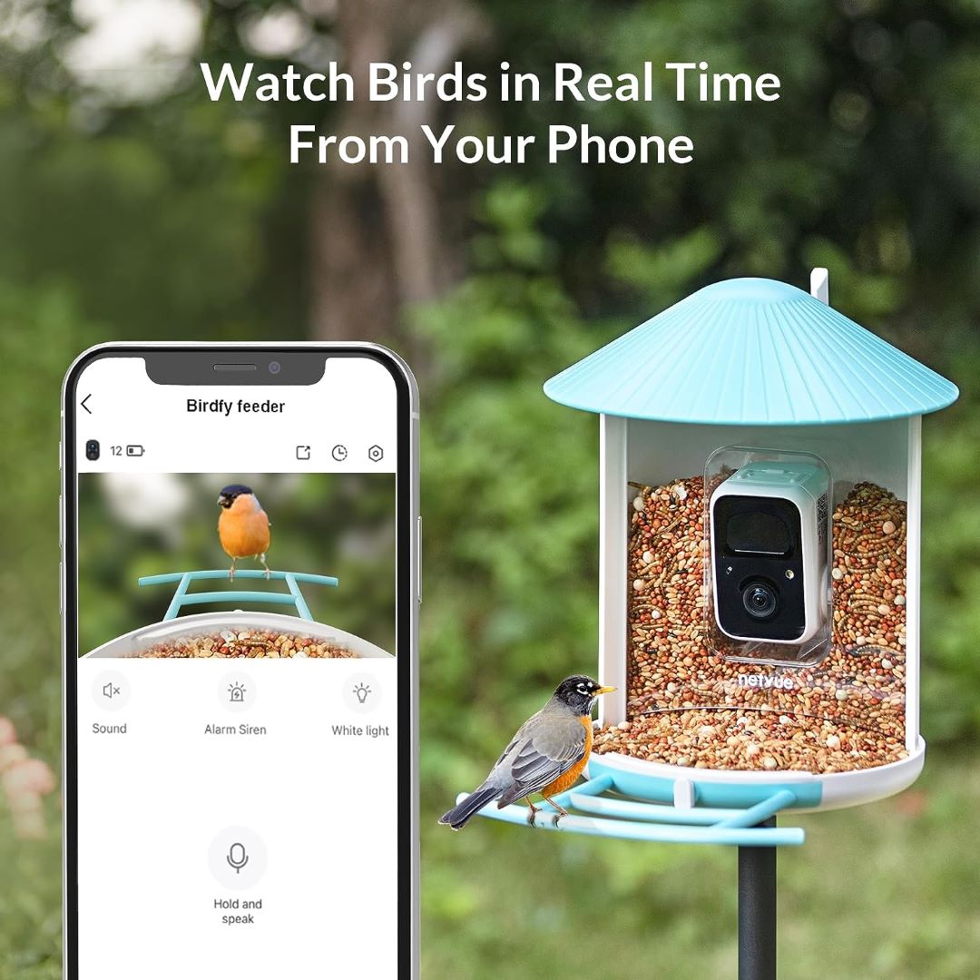 Netvue Birdfy - Caméra de Mangeoire Oiseaux Exterieur, Caméra d'oiseaux, AI  Reconnaissance des Espèces d'Oiseau, Caméra WiFi à Batterie, Capture des