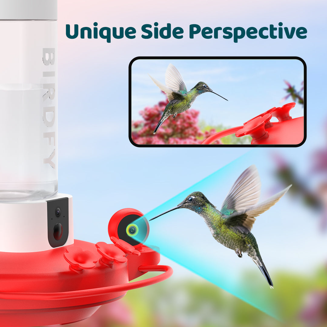 Birdfy Hummingbird Feeder Camera – netvue